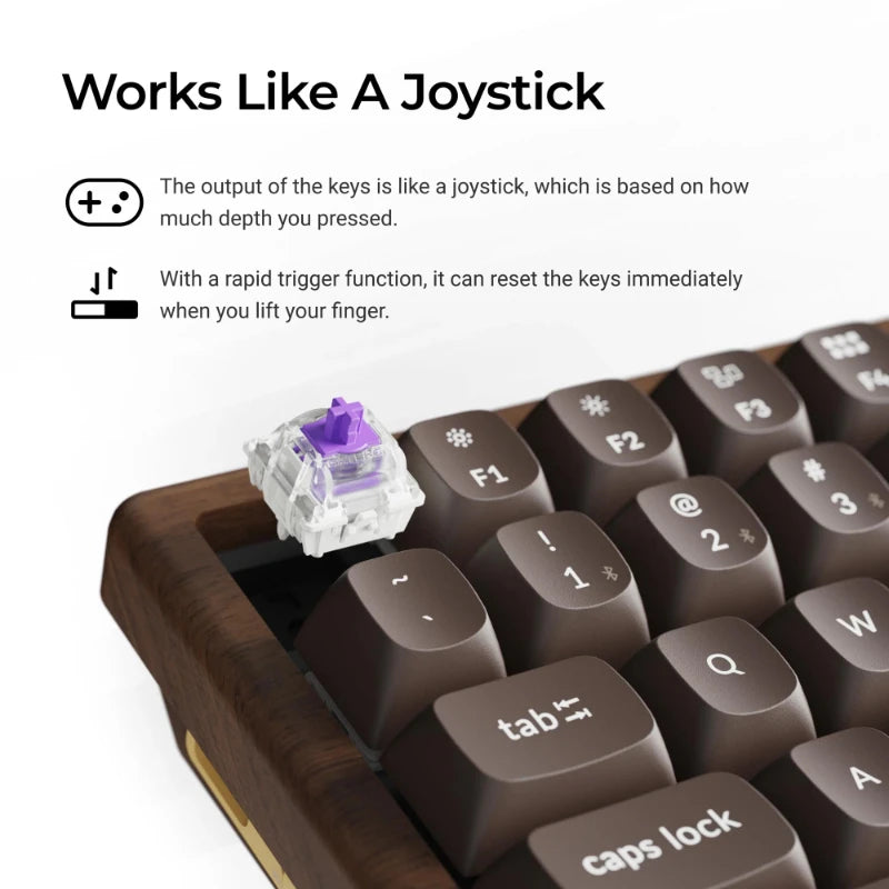 Keychron K2 HE Wireless Magnetic Switch Custom Keyboard-All-Wood Special Edition